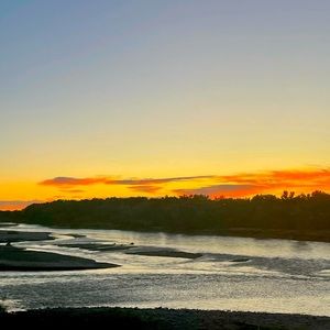 Meet your Posher, Bailey